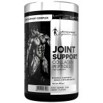 Kevin Levrone Joint Support 495 g tropické ovoce – Hledejceny.cz