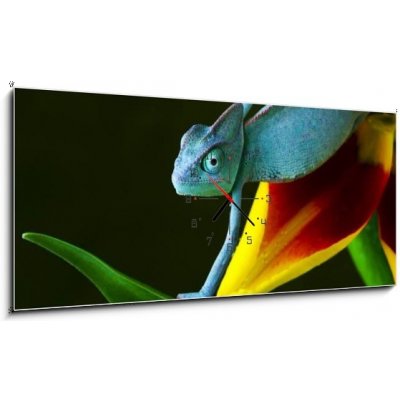 Obraz s hodinami 1D panorama - 120 x 50 cm - cham leon chameleon lizard cizokrajná věc – Zboží Mobilmania