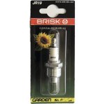 Zapalovací svíčka BRISK JR19 – Hledejceny.cz