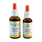 Salvia Paradise Třezalka tečkovaná AF tinktura 30 ml – Hledejceny.cz