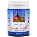 TCM Herbs Hostina pěti chutí 100 tablet – Hledejceny.cz