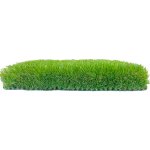 Lano Gazon zelená 600 x 106 cm – Zboží Dáma