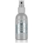 Perleťový sprej na tmavý textil 100 ml stříbrná – Zboží Dáma