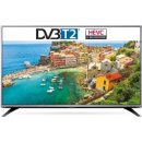 Televize LG 43LH541V