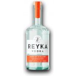 Reyka 40% 0,7 l (holá láhev) – Hledejceny.cz