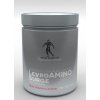 Aminokyselina Kevin Levrone Levro AMINO Surge 500 g