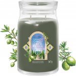 Yankee Candle Signature OLIVE & CYPRESS 368 g – Hledejceny.cz
