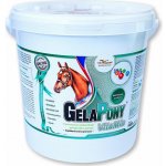 Orling Gelapony Vitamin 1,8 kg – Hledejceny.cz