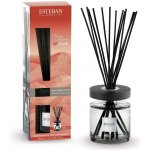 Esteban Paris Parfums difuzér scented bouquet ellipse Moka Terre d´ocre karité 200 ml – Sleviste.cz