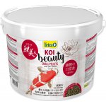 Tetra Pond Koi Beauty Small 10 l – Hledejceny.cz