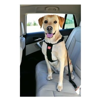 Zolux Postroj pro psy bezpečnostní do auta L – Zboží Mobilmania