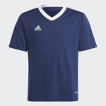 adidas Performanc pánský dres Entrada 22 GFX JSY – Zboží Dáma