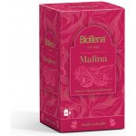 Biogena Traditional Malina porcovaný ovocný čaj 20 x 2 g – Sleviste.cz