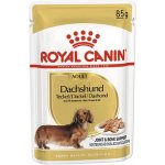 Royal Canin Adult Dachshund 85 g – Sleviste.cz