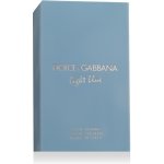 Dolce & Gabbana Light Blue toaletní voda pánská 100 ml – Zboží Dáma