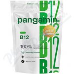 Rapeto Pangamin B12 200 tablet – Hledejceny.cz