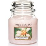 Yankee Candle Champaca Blossom 411 g – Zbozi.Blesk.cz