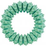 Trixie Denta Fun kroužek 12 cm – Hledejceny.cz