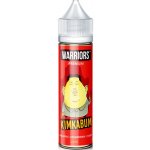 Pro Vape Warriors Kim Kabum 20 ml – Zbozi.Blesk.cz