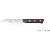 Kuchyňský nůž Dictum Japonský nůž Mina Hocho Gyuto Fish and Meat Knife 125 mm