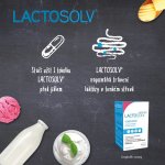 Lactosolv 30 tablet – Hledejceny.cz