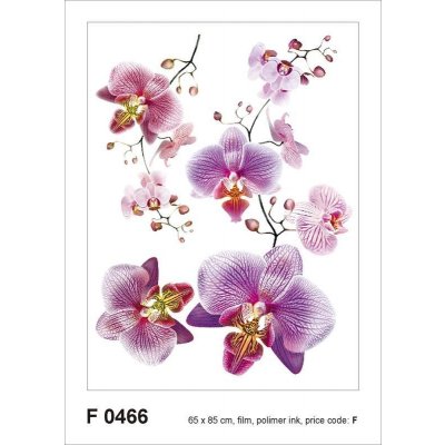Ag Design AGF00466 samolepící dekorace Orchid F 0466 Orchidea rozměry 65 x 85 cm