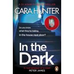 In the Dark - Cara Hunter – Hledejceny.cz