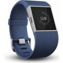 Fitbit Surge L