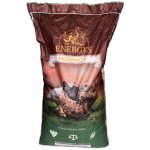 Energys Nosnice Gold 25 kg – Sleviste.cz