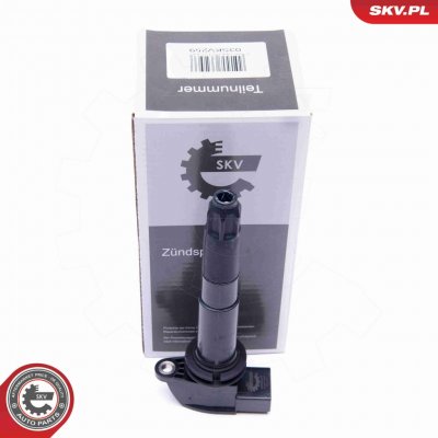 Zapalovací cívka ESEN SKV 03SKV259 – Hledejceny.cz