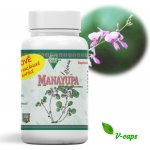 Oro Verde Manayupa Desmodium adscendens Sw. 350 mg 100 kapslí – Hledejceny.cz