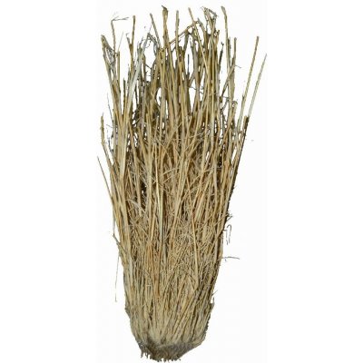 Lucky Reptile Grass Bushes 25-40 cm – Zboží Mobilmania