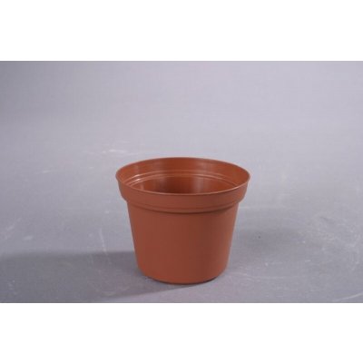 květ. d10cm PREMIUM VCG/leh 15 kusů – Hledejceny.cz