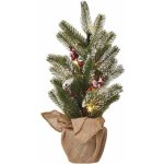 Emos LED vánoční stromek zasněžený 52 cm DCTW04 – Hledejceny.cz