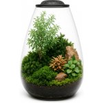Invital MicroTerrarium 6 l – Zboží Dáma