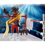 Playmobil 70879 Šampion v boxu – Zboží Živě