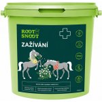 Root&Snoot Zažívání pro koně sypaná směs 1 kg – Hledejceny.cz