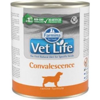 Vet Life Natural Dog Convalescence 300 g