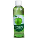 ShishaSyrup Melasa Ledové jablko 100 ml – Hledejceny.cz