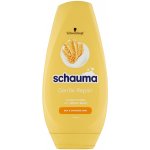 Schauma Gentle Repair kondicionér 250 ml – Zboží Dáma
