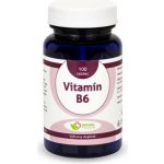 Natural Pharm Vitamín B6 100 tablet – Hledejceny.cz