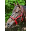 Ohlávky a vodítka pro koně Bucas Ohlávka Comfort červená / černá