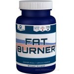 Pharma Activ Fat Burner 90 kapslí – Zboží Mobilmania