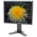 Eizo S2100