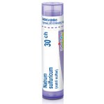 NATRUM SULFURICUM POR 30CH GRA 4G – Hledejceny.cz