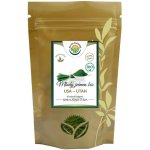 Salvia Paradise Mladý zelený ječmen BIO 100 g – Hledejceny.cz