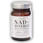 NAD+ Synergy 40 kapslí – Hledejceny.cz