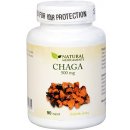 Natural Medicaments Chaga 500 mg 90 kapslí