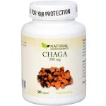 Natural Medicaments Chaga 500 mg 90 kapslí – Hledejceny.cz