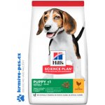 Hill’s Science Plan Puppy Medium Chicken 2,5 kg – Hledejceny.cz